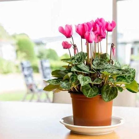 Ferienhaus Boje 9 뉴할링거지어 외부 사진