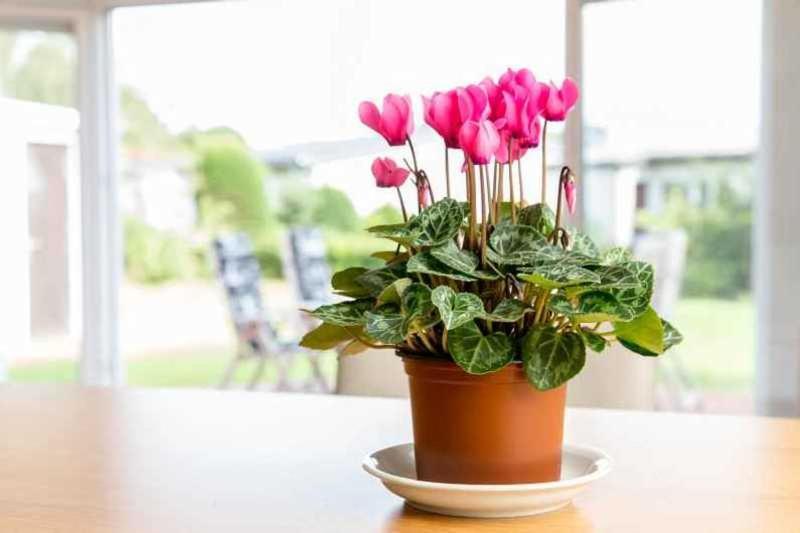 Ferienhaus Boje 9 뉴할링거지어 외부 사진